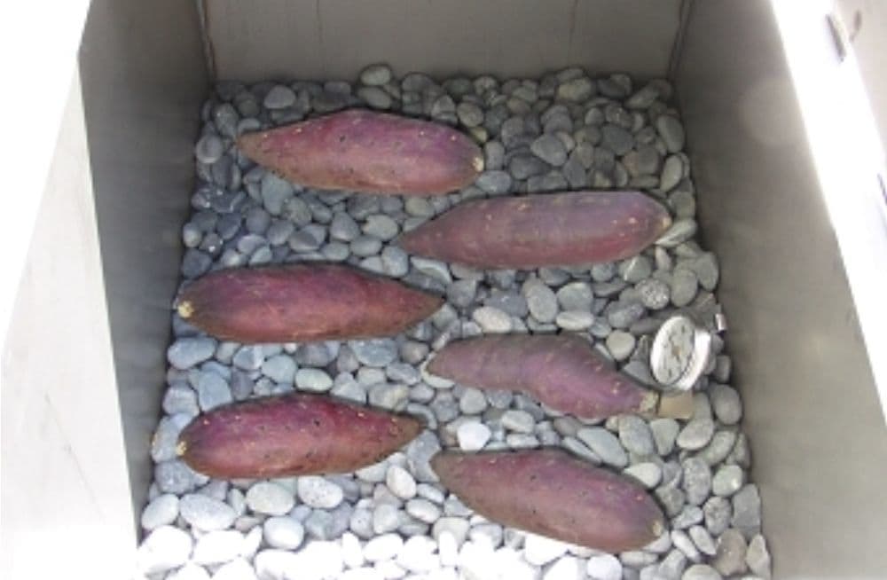 コイズミデザインフードテックの実績